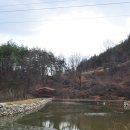 김진영농장 이미지