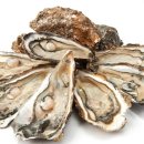 ♣3월 여행지 추천 -국내여행 BEST 이미지