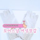 (주)모어스 | 여성겨울 니트장갑 추천 및 후기 모어스샵 부드러운 울 니트 터치 여성 장갑