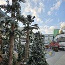 현대프리미엄아울렛 대전점B1F | 대전 현대프리미엄아울렛 후기｜명품 구경부터 인생샷까지 가능한 데이트 코스