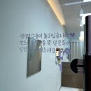 댕댕읍 멍멍리 | 의정부애견미용실 민락2지구 강아지미용잘하는곳 댕댕읍멍멍리 내돈내산후기