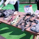 달리애견 이미지