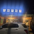 양지돼지집