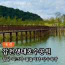 호수공원 축구장옆 | 대전 새 핫플! 갑천생태호수공원 둘러보기 후기 주차 / 지도 / 물놀이터 / 피크닉 장소