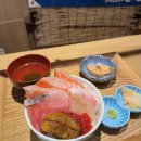동食이 티스토리