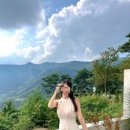 별하담 이미지