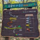 198차] 26 2 10 용궐산 하늘길 산행공지 647m 이미지