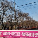 에덴주유소 | 서울근교 경기도 가평군 청평면 실시간 개화상황 &#34;2024 에덴벚꽃길 벚꽃축제&#34; 푸드존 벚꽃마켓 주차후기