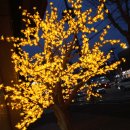 상수도사업본부 광산사업소 이미지