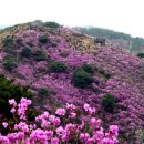 진달래빌딩 이미지