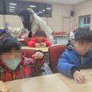 까치유치원 이미지