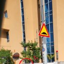 반창꼬동물병원 이미지