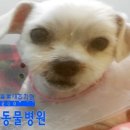 온천동물병원 이미지