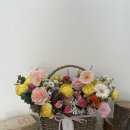 일산랩플레르