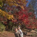 🌎 죽림지투 🌎 유빈,다빈의 미디어없는 가을나들이 🍂 이미지