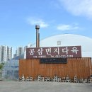 양평 터줏대감 부동산 | 양평 다육농원 추천 공삼번지다육농원 수제화분 가득한 양평 가볼만한곳