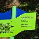 하조대 | 양양 하조대 전망대 후기 - 감성 뷰 맛집 + 주차 팁까지 정리