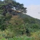 가야면 성기리 이미지