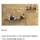 호텔에이유(동성로점) | 대구 호텔 에이유 스탠다드룸 숙박후기ㅣ대구여행 숙소 추천ㅣ동성로 숙소ㅣ내돈내산