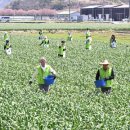 지리산농협 APC 이미지