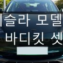 아메리칸게라지 이미지