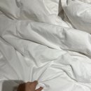 달서대로 | 대구 커플여행 숙소 추천 빌리언웨스턴호텔｜조식뷔페 있는 대구 조식뷔페 호텔 후기