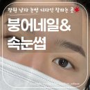 상남동225 이미지