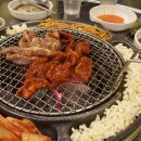 청춘갈매기 이미지