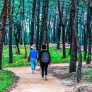 해변슈퍼 이미지