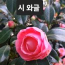 못 잊을 사람에게 / 이경성 이미지