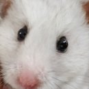 로던트클럽 강서마곡점 이미지