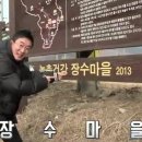 풍기장수인삼마을