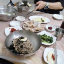 강원도 고성 맛집 / 백촌막국수