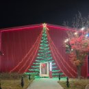 하빈로 | 대구 I 근교 대형카페 겨울 마르텐사이트 방문 후기(+메뉴 등)