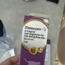 베스트동물병원 | 율하 고양이 치과 진료, 율하베스트동물병원, 치아흡수성병변