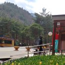 솔향수목원(제3주차장) 이미지