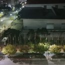 양림목장 이미지