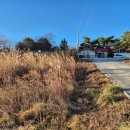 마망펜션 | 정동진에서 완전힐링하고온 마망펜션 다녀온 후기