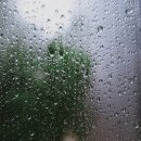 바카스 - 울주군 온양로 166-16 | 바카스