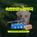 편한온누리약국 이미지