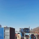 김밥옆구리 이미지