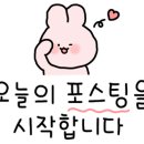 추사로칼국수 이미지