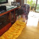 성자기업 이미지