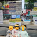 어린이날 종로장난감골목 방문 후기 (사람 많음 주의⚠️)
