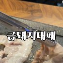 양덕동113 이미지