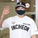 에스에스지 이미지