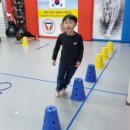 비연무예태권도 이미지