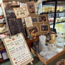 남원읍-98 | 제주올패스 뽕뽑기! 아이와 가기 좋은 내노키카페 귤따기 체험 대만족 후기