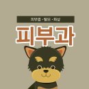 라포레동물메디컬센터 이미지