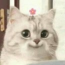 불장난파스타 이미지